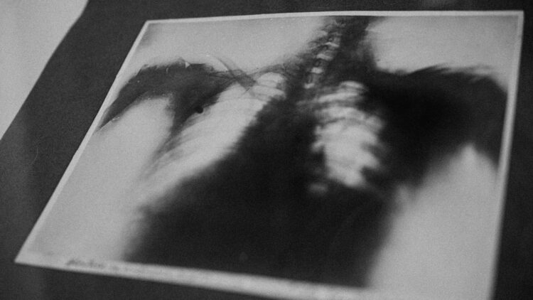 The historical house where Romanian liberalism was born and raised – The Brătianu National Museum, Villa Florica