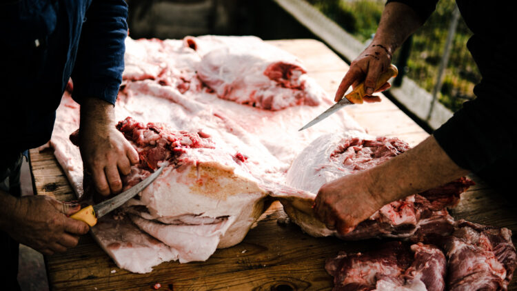 Exploring Romania’s Rich Cultural Heritage: A fascinating insight into the ancient tradition of pig slaughtering during the winter holidays