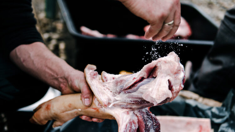 Exploring Romania’s Rich Cultural Heritage: A fascinating insight into the ancient tradition of pig slaughtering during the winter holidays