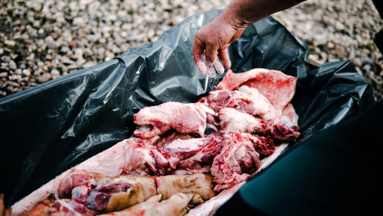 Exploring Romania’s Rich Cultural Heritage: A fascinating insight into the ancient tradition of pig slaughtering during the winter holidays