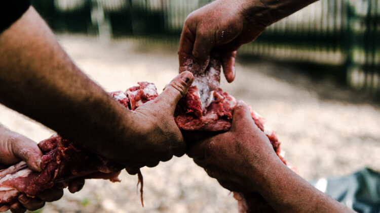 Exploring Romania’s Rich Cultural Heritage: A fascinating insight into the ancient tradition of pig slaughtering during the winter holidays